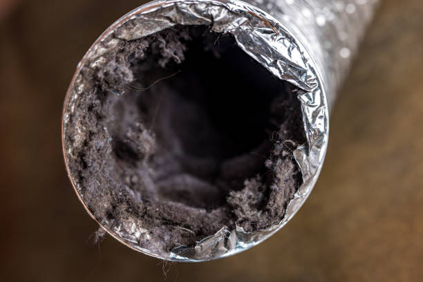 Reliable LA Airduct Cleaning Solutions